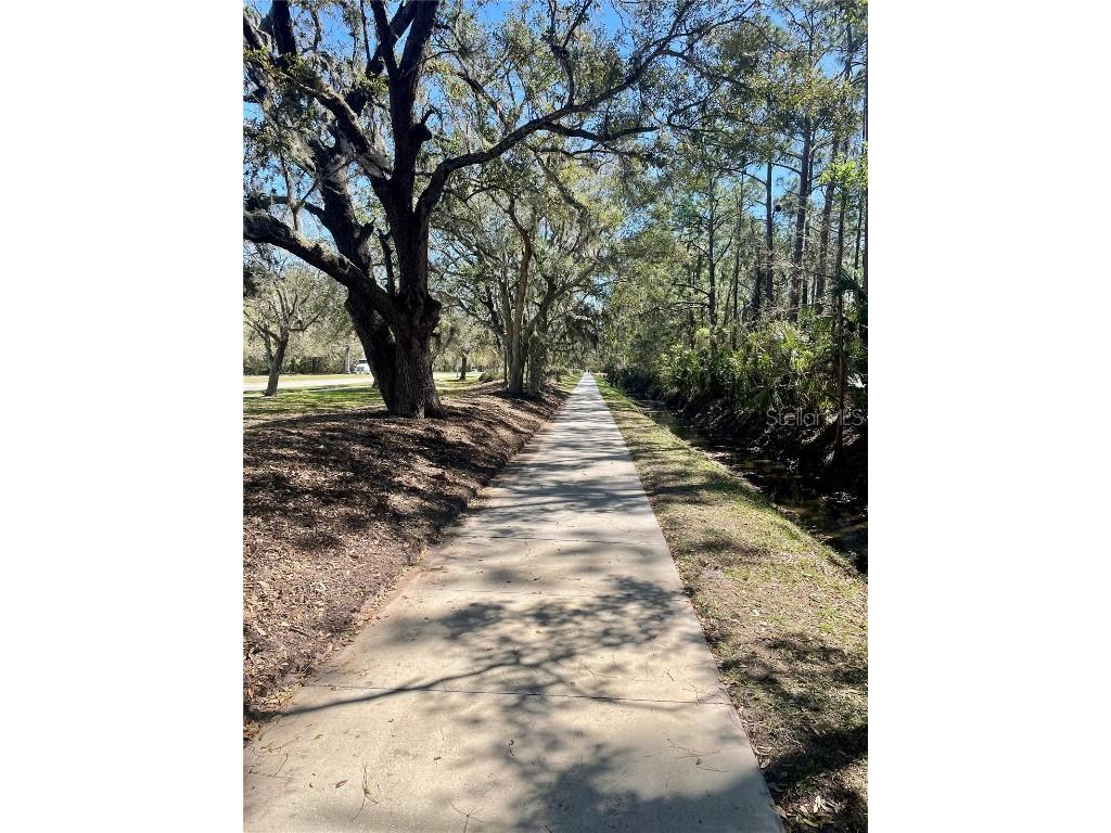 3611 Marisol Court New Smyrna Beach FL 32168 NS1084192 image77