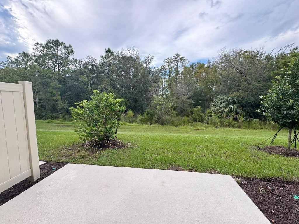 3611 Mayfair Street Kissimmee FL 34758 O6353384 image23