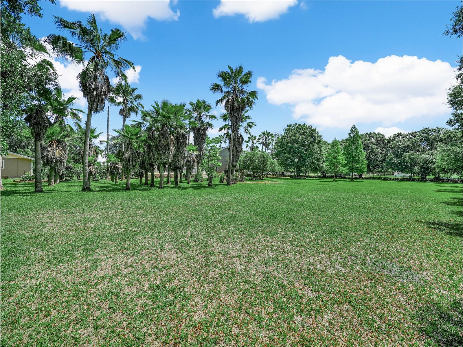 3611 N Forbes Road Plant City FL 33565 L4962531 image35