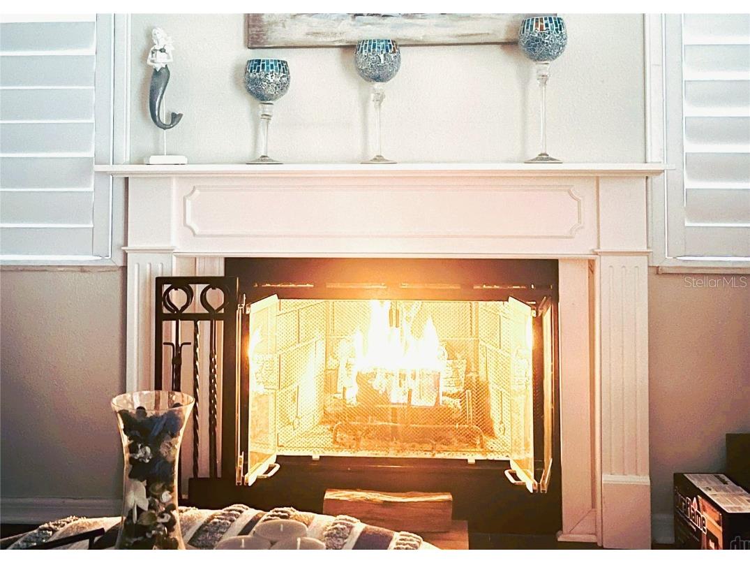 3611 Pine Knot Drive Valrico FL 33596 TB8373620 image13