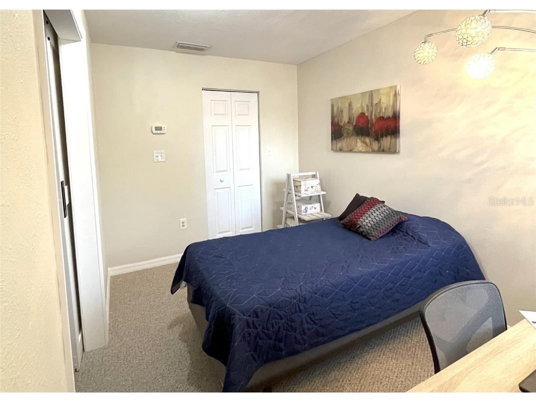 3611 Pine Knot Drive Valrico FL 33596 TB8373620 image43