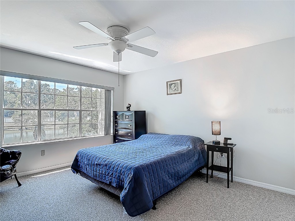 3611 Pine Knot Drive Valrico FL 33596 TB8373620 image47