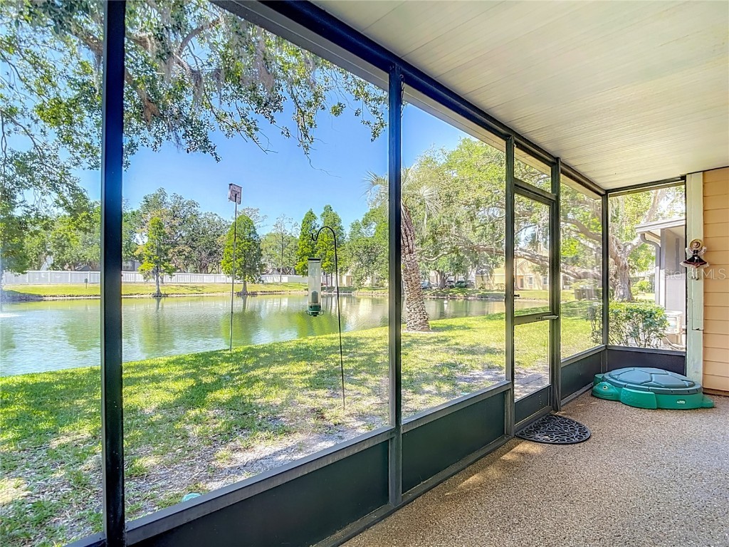 3611 Pine Knot Drive Valrico FL 33596 TB8373620 image55