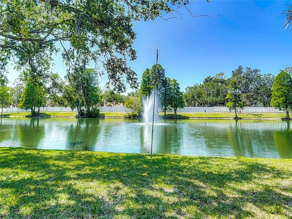 3611 Pine Knot Drive Valrico FL 33596 TB8373620 image56