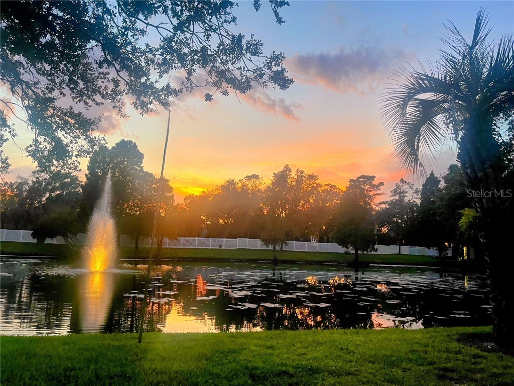 3611 Pine Knot Drive Valrico FL 33596 TB8373620 image58