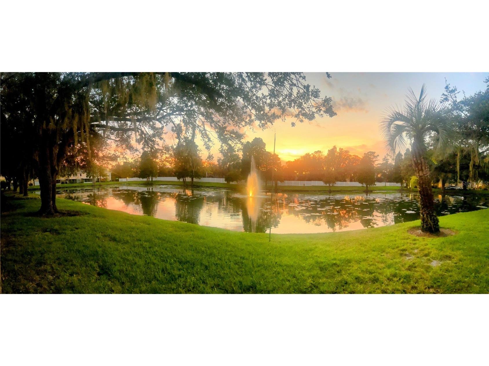 3611 Pine Knot Drive Valrico FL 33596 TB8373620 image59