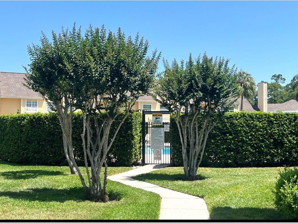 3611 Pine Knot Drive Valrico FL 33596 TB8373620 image62