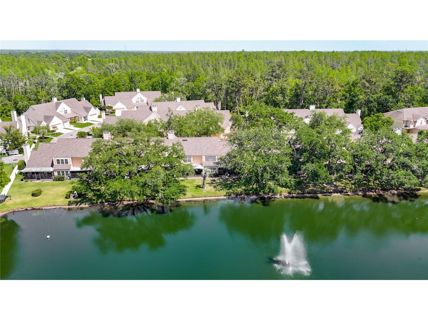 3611 Pine Knot Drive Valrico FL 33596 TB8373620 image67