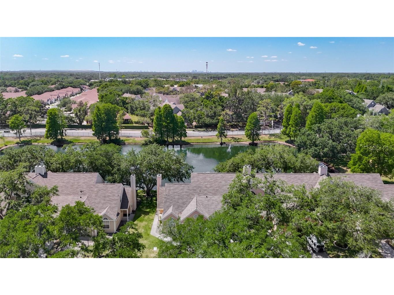 3611 Pine Knot Drive Valrico FL 33596 TB8373620 image68