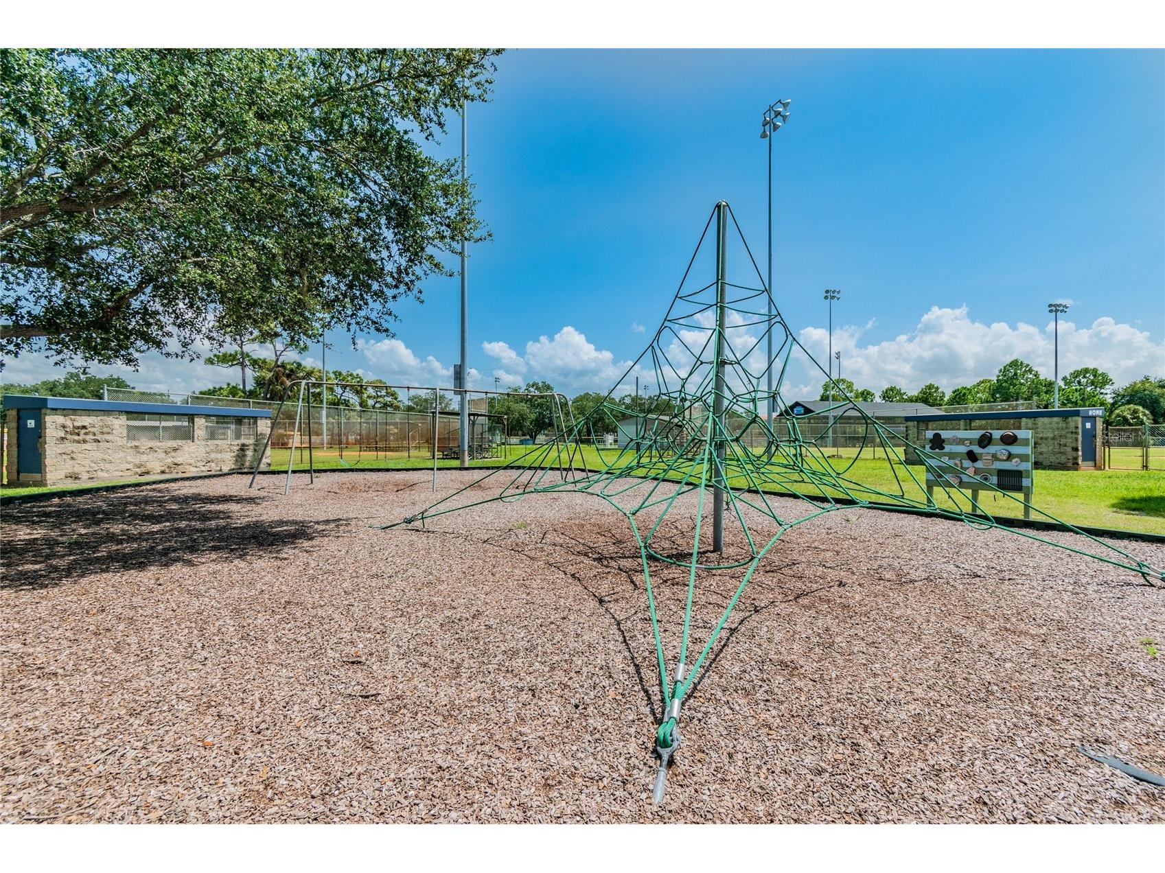 3611 W Anderson Avenue Tampa FL 33611 TB8483734 image46