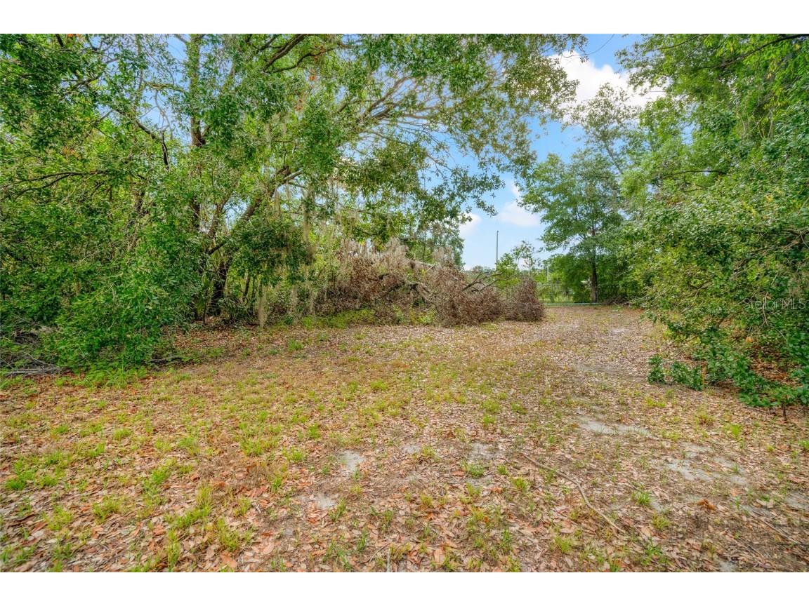 3611 W Reynolds Street #1/2 Plant City FL 33563 TB8424515 image5