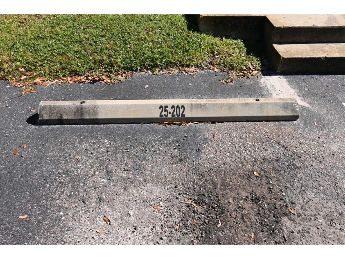 36113 Deer Creek Drive #202 Zephyrhills FL 33541 TB8443540 image22