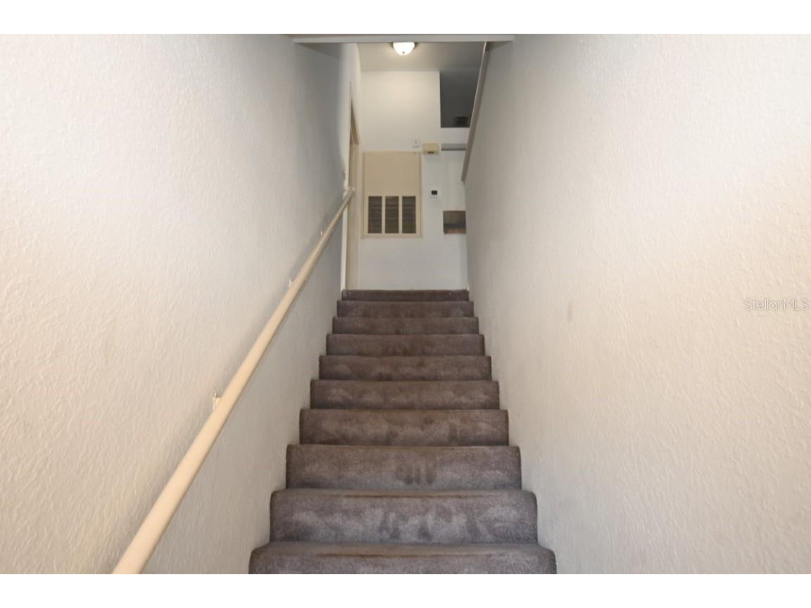 36113 Deer Creek Drive #202 Zephyrhills FL 33541 TB8443540 image5