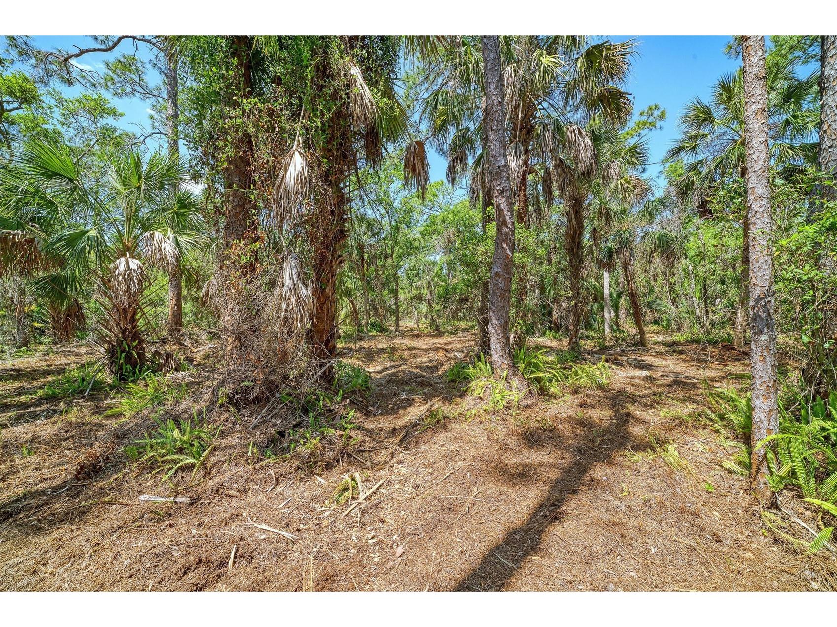 3612 57th Street E Bradenton FL 34208 - BRADEN RIVER A4689115 image10