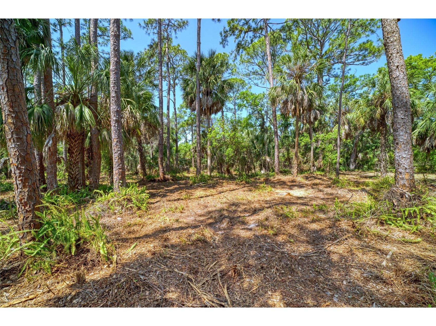 3612 57th Street E Bradenton FL 34208 - BRADEN RIVER A4689115 image11