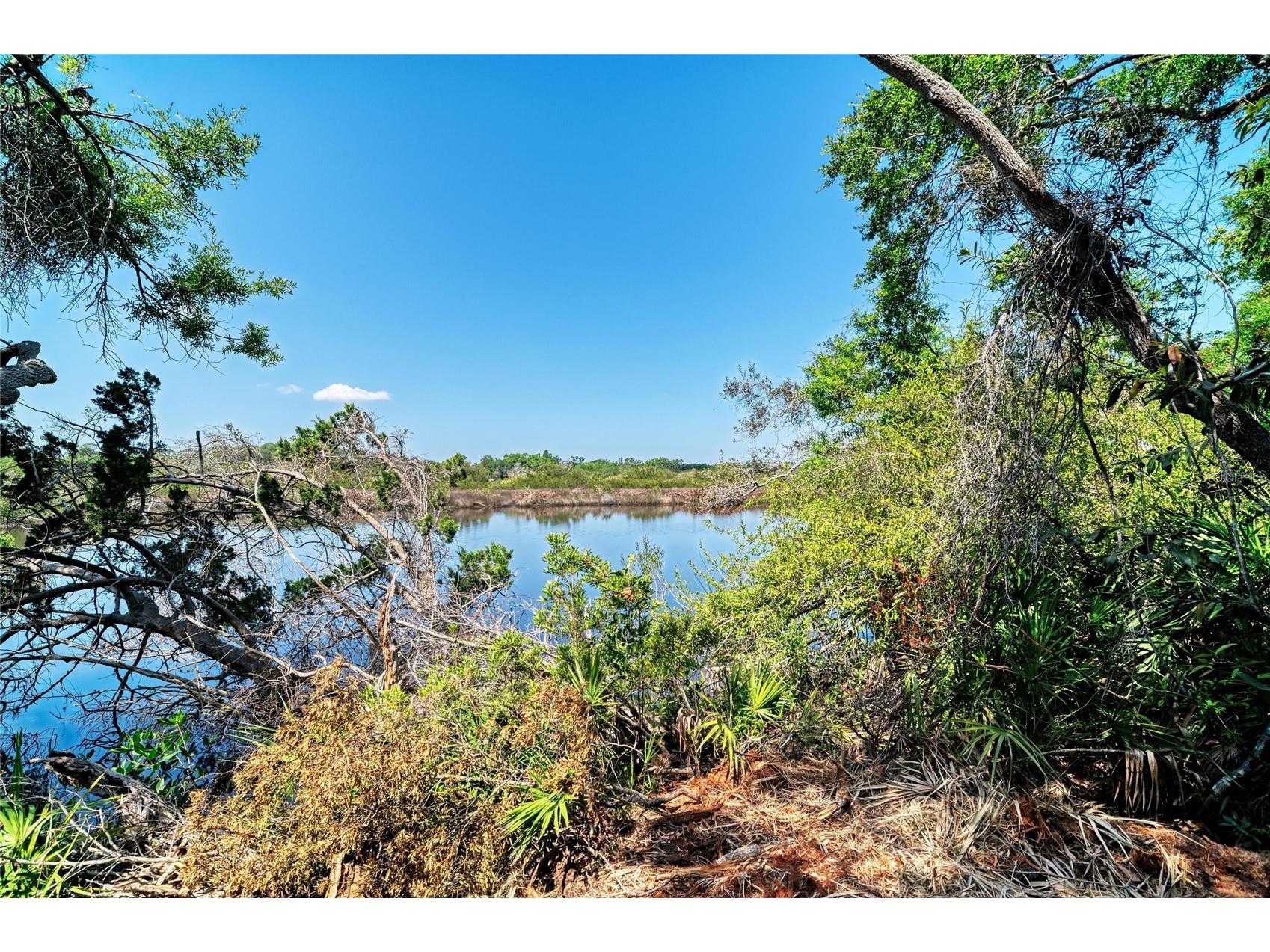 3612 57th Street E Bradenton FL 34208 - BRADEN RIVER A4689115 image4