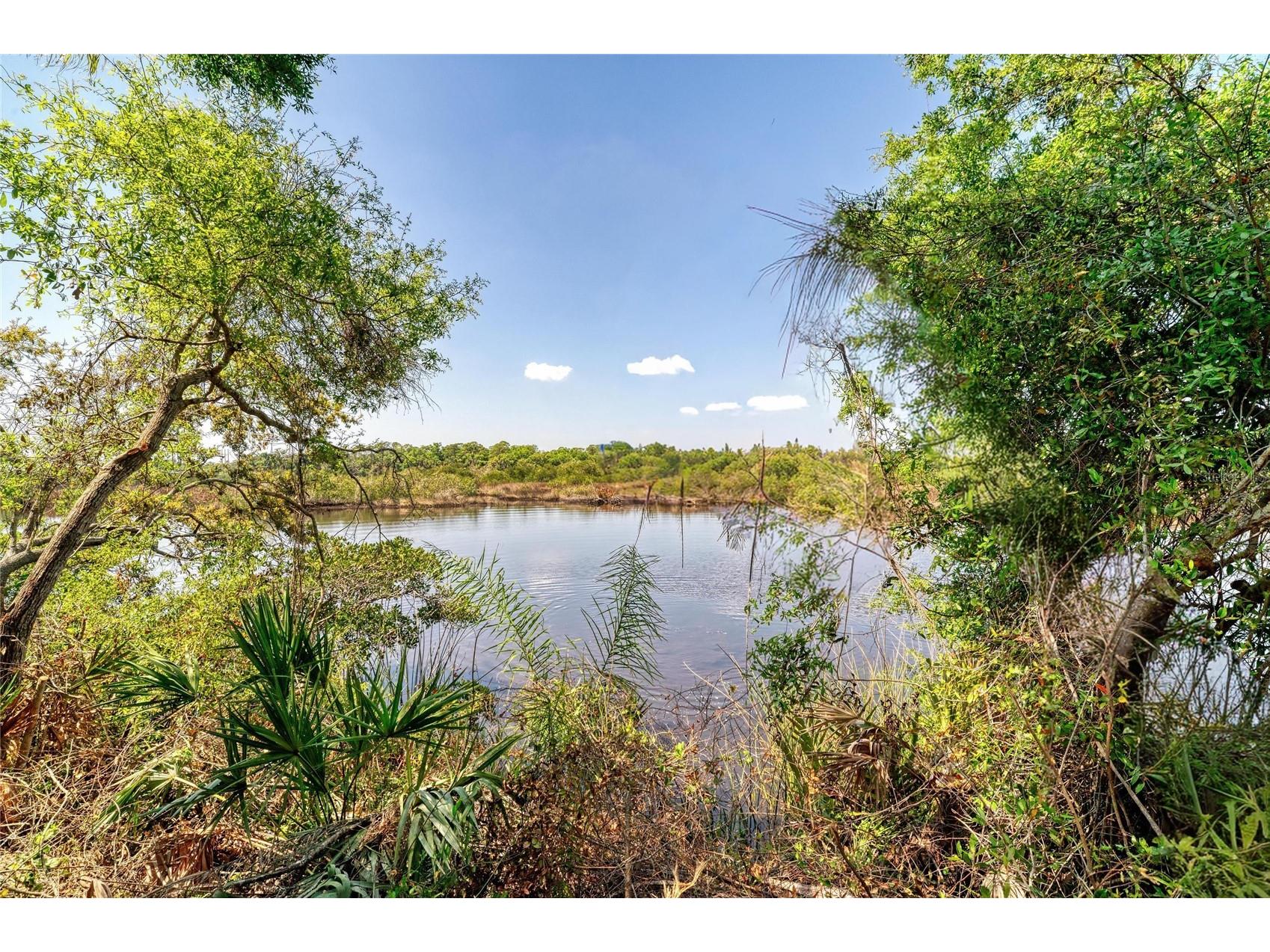 3612 57th Street E Bradenton FL 34208 - BRADEN RIVER A4689115 image6
