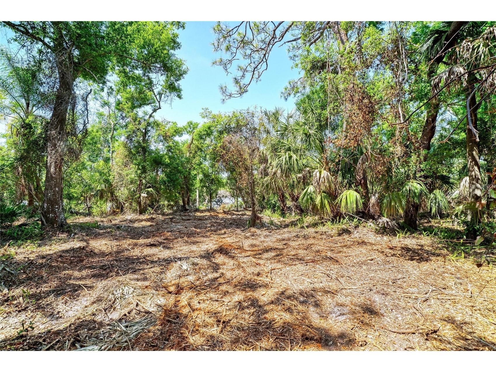 3612 57th Street E Bradenton FL 34208 - BRADEN RIVER A4689115 image7