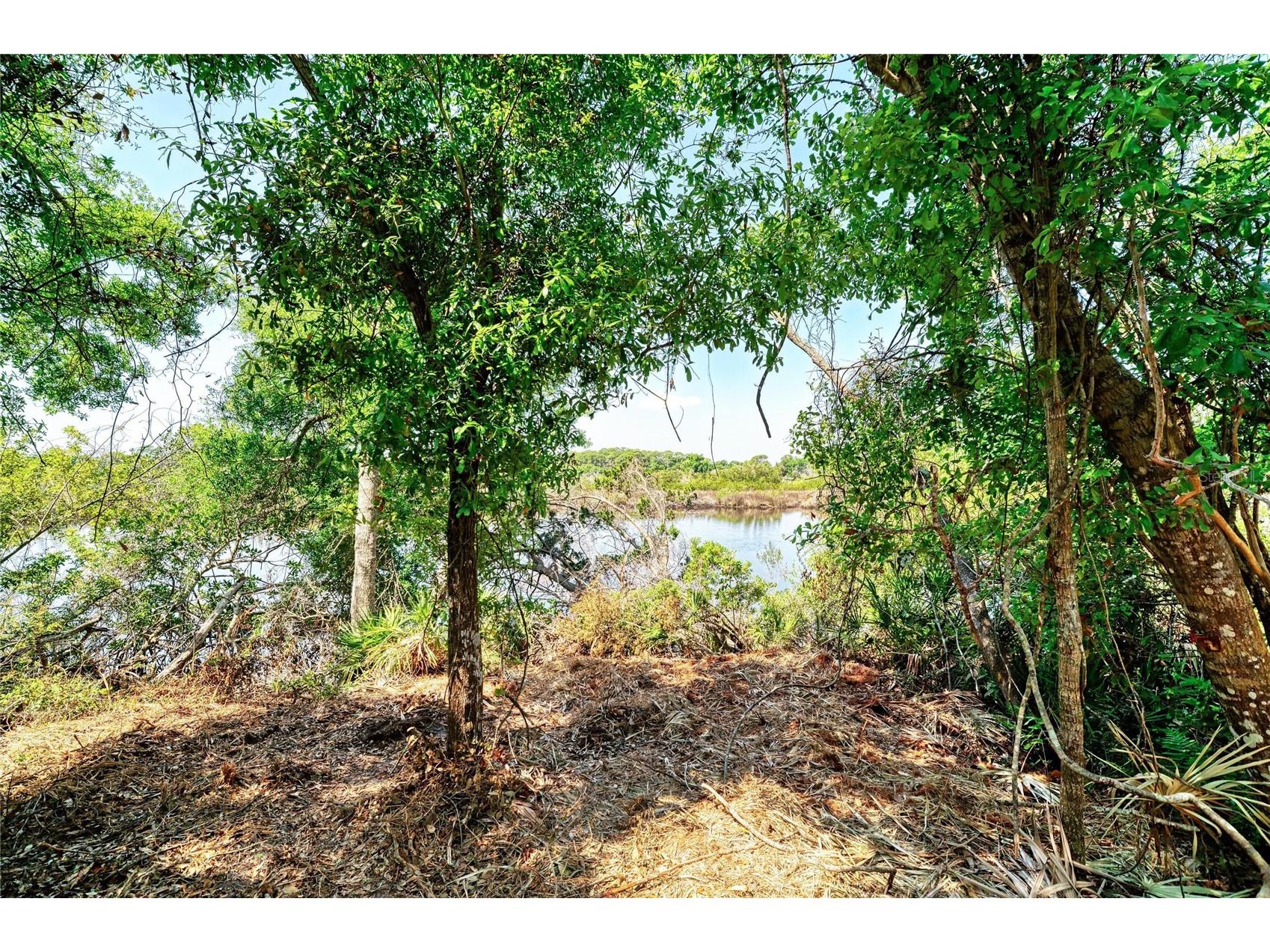 3612 57th Street E Bradenton FL 34208 - BRADEN RIVER A4689115 image8