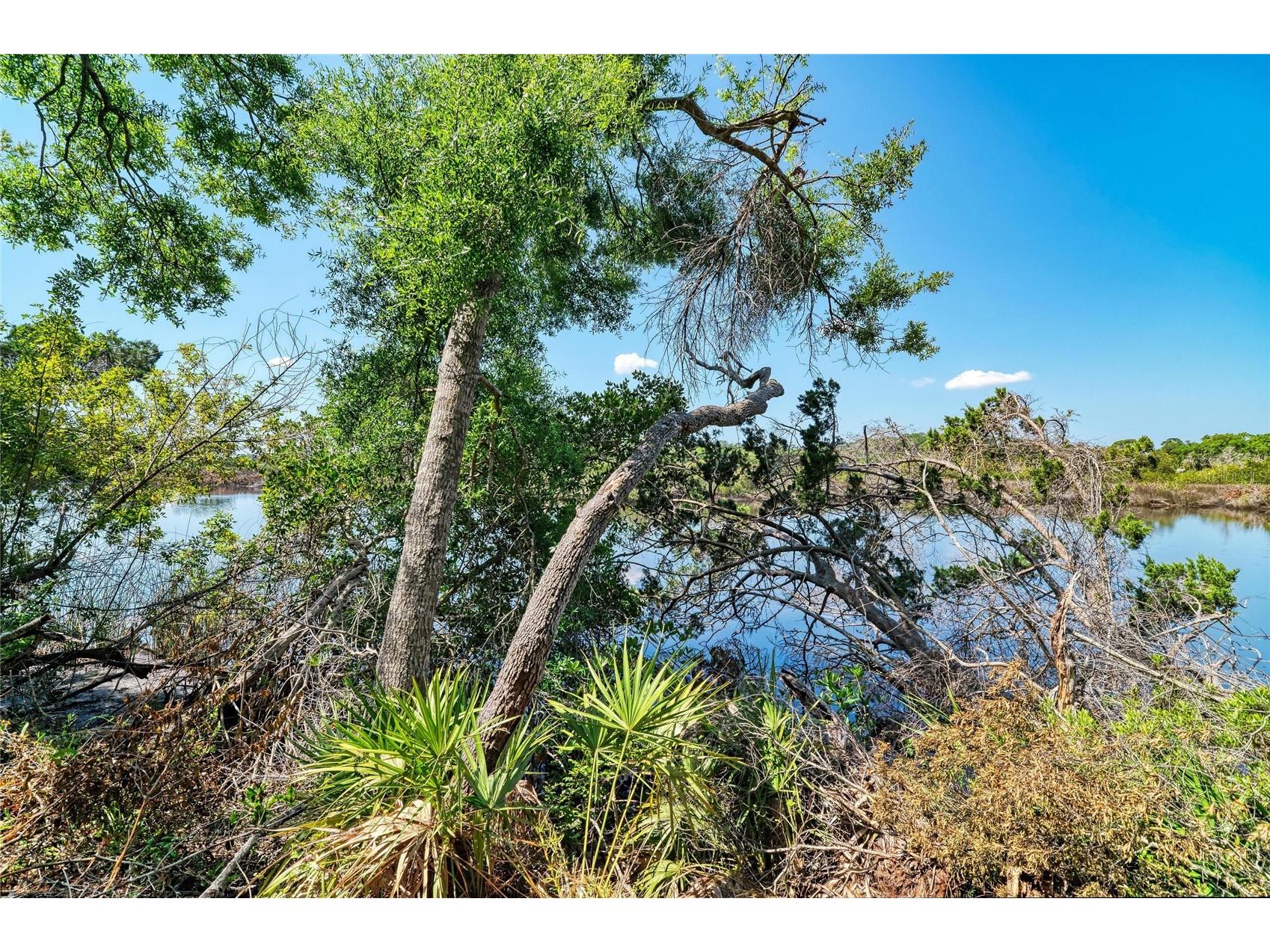 3612 57th Street E Bradenton FL 34208 - BRADEN RIVER A4689115 image9