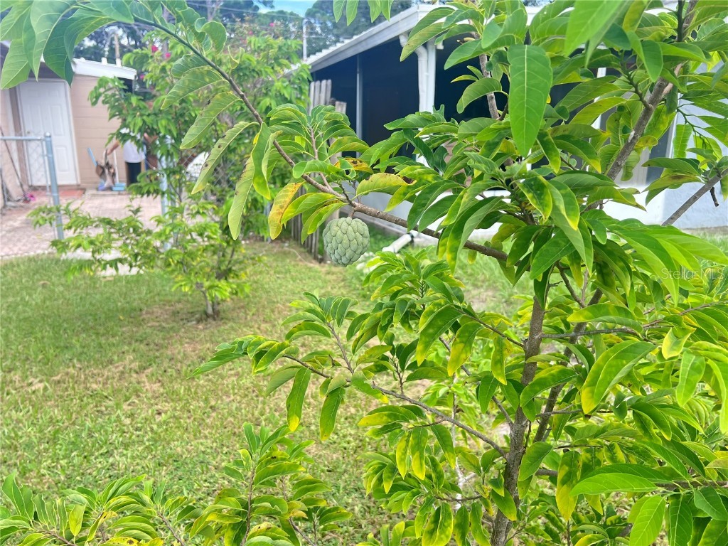 3612 71st Street N Saint Petersburg FL 33710 TB8424947 image3