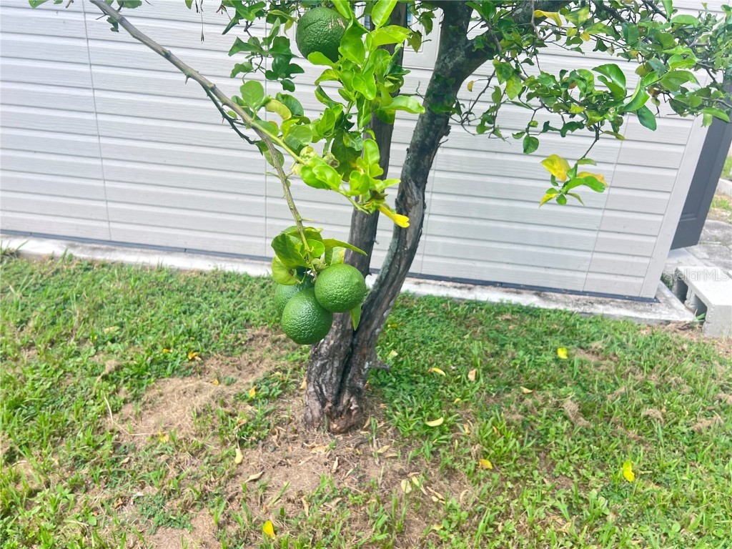 3612 71st Street N Saint Petersburg FL 33710 TB8424947 image5