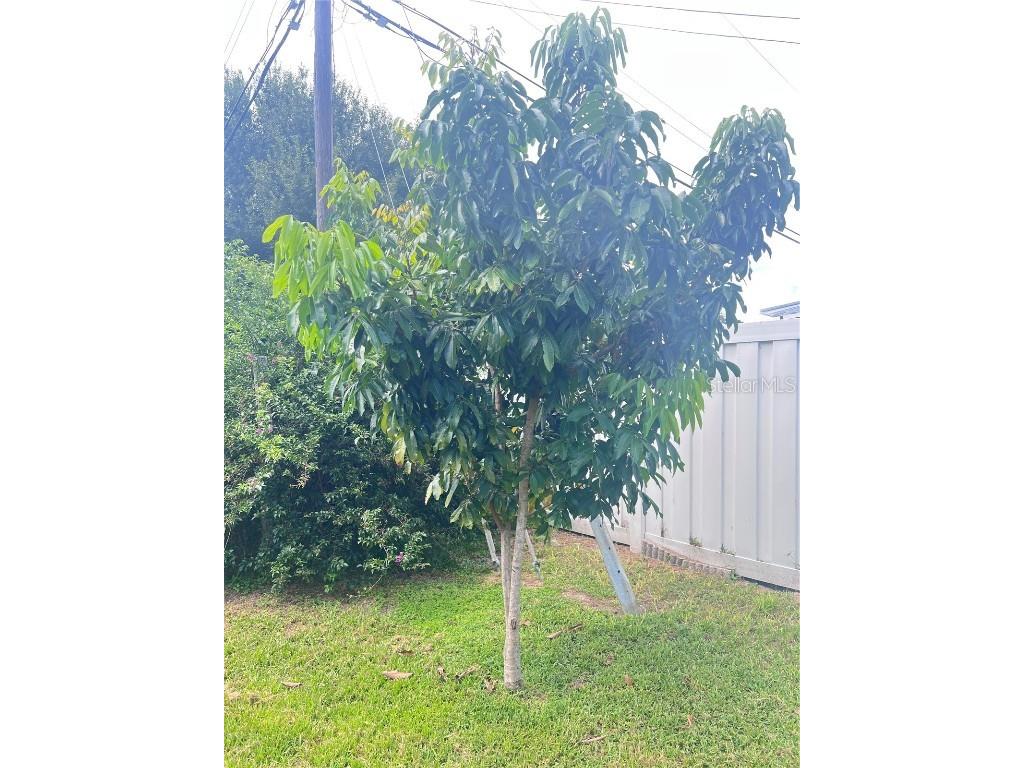 3612 71st Street N Saint Petersburg FL 33710 TB8424947 image6