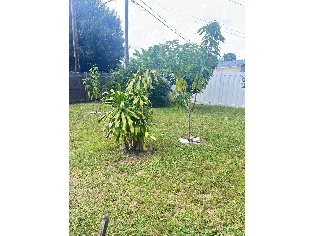 3612 71st Street N Saint Petersburg FL 33710 TB8424947 image8