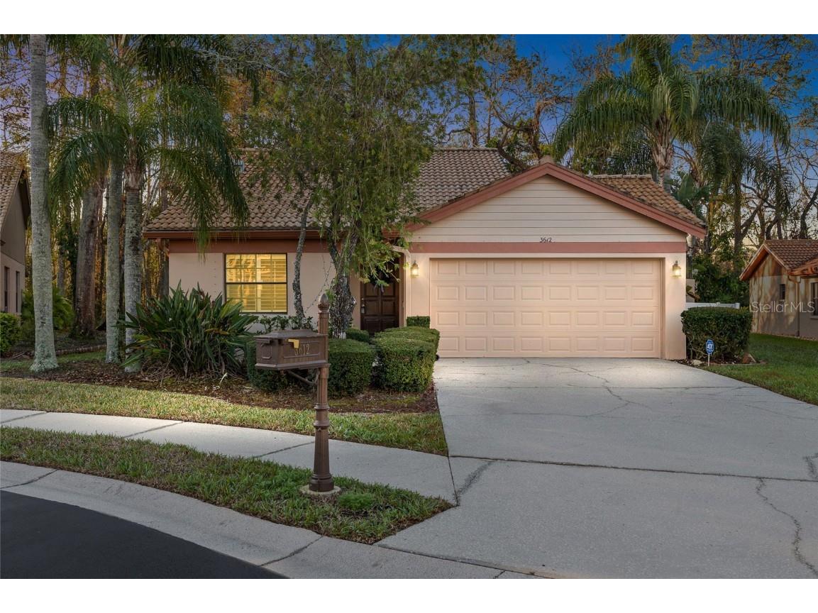 3612 Darston Street Palm Harbor FL 34685 TB8355931 image1