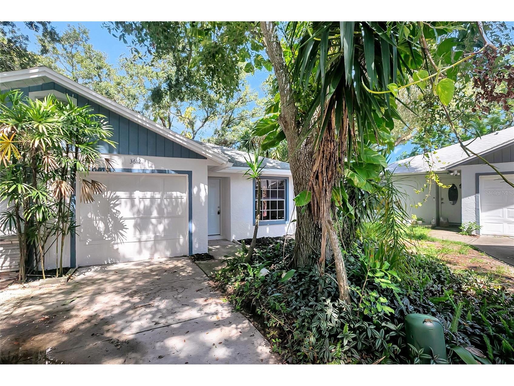 3612 Glenmac Court Palm Harbor FL 34684 TB8438554 image1