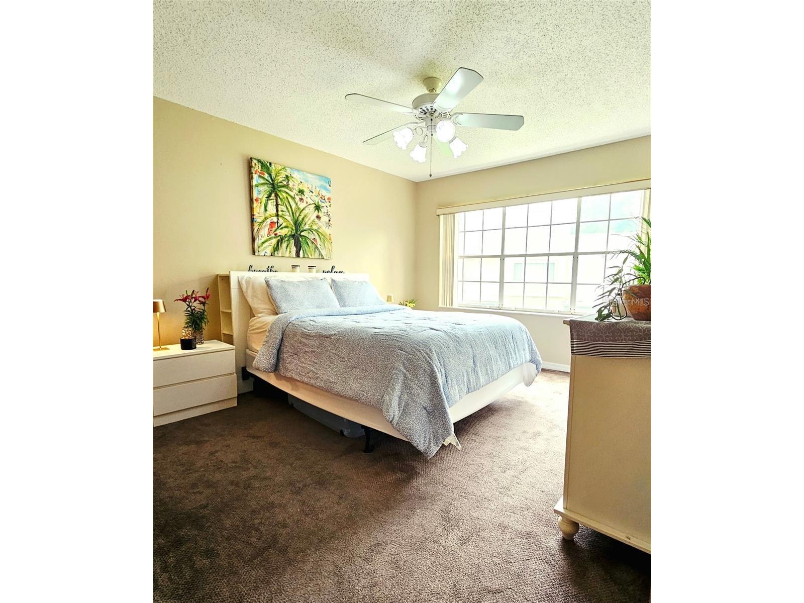 3612 Pine Knot Drive Valrico FL 33596 TB8518508 image16