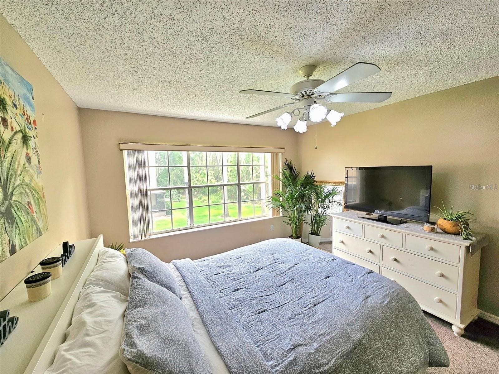 3612 Pine Knot Drive Valrico FL 33596 TB8518508 image17