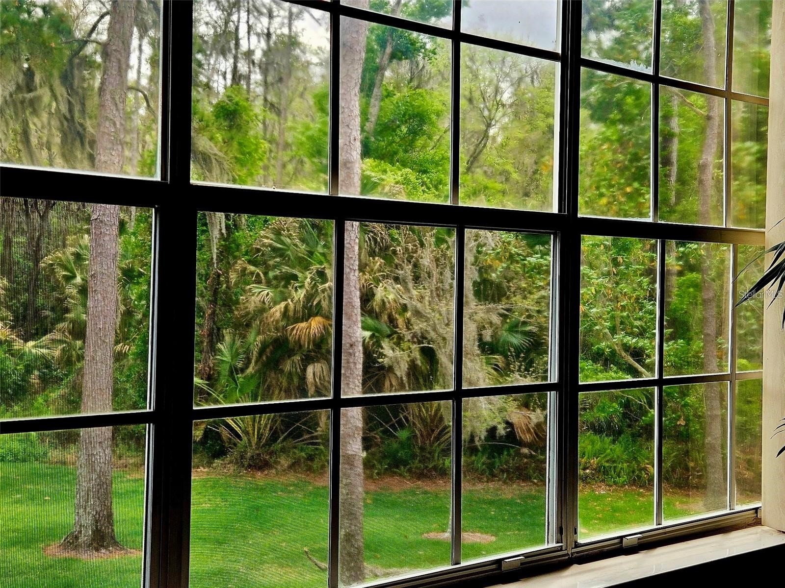 3612 Pine Knot Drive Valrico FL 33596 TB8518508 image18