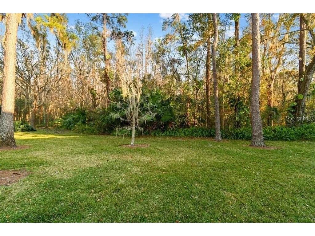 3612 Pine Knot Drive Valrico FL 33596 TB8518508 image32