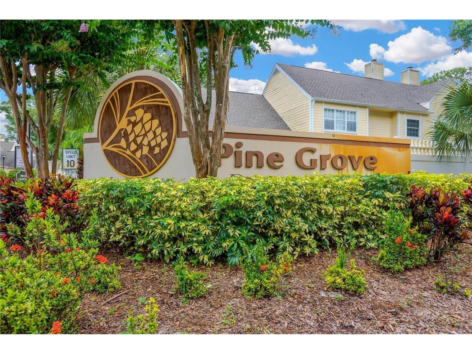 3612 Pine Knot Drive Valrico FL 33596 TB8518508 image33