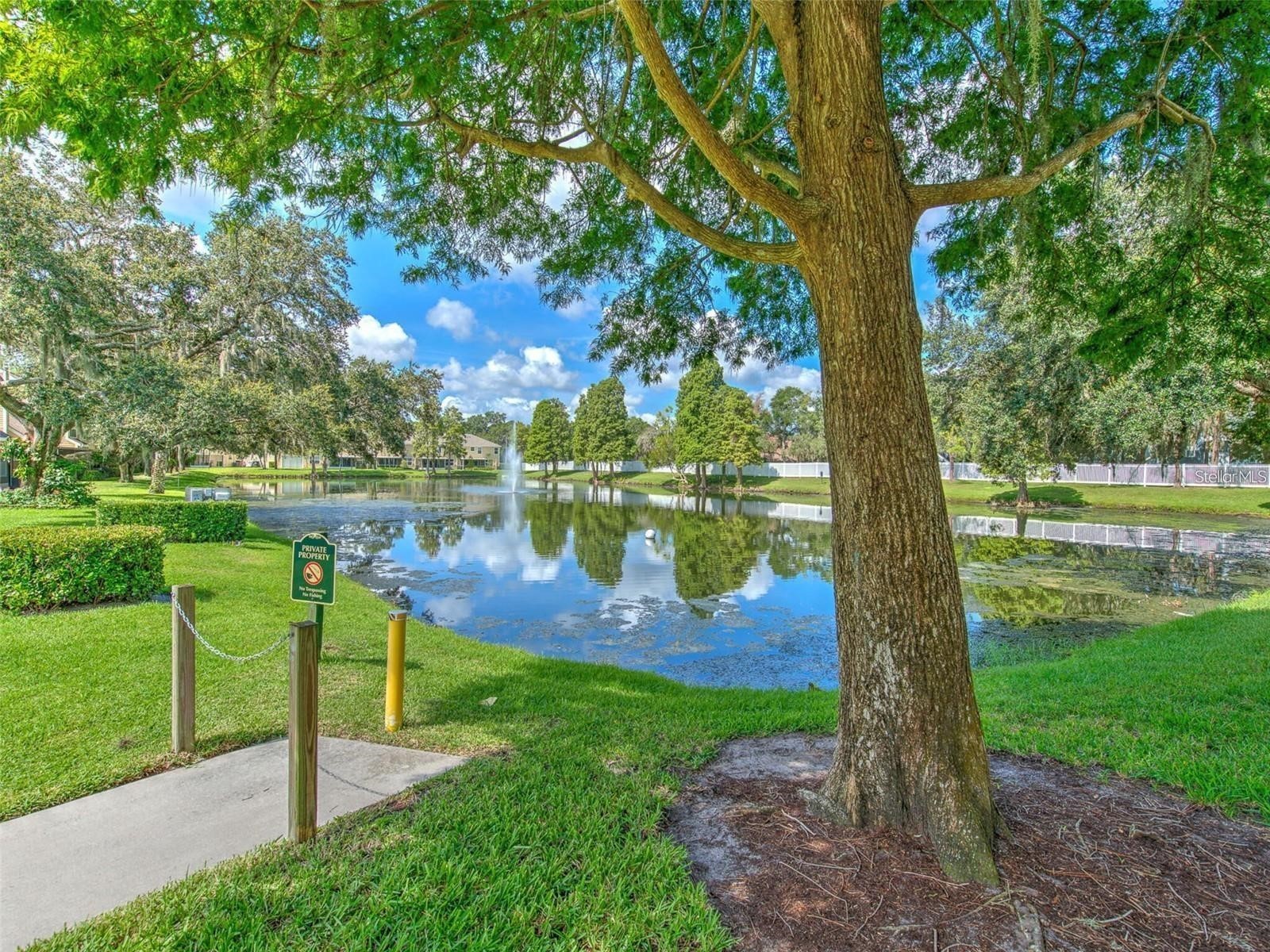 3612 Pine Knot Drive Valrico FL 33596 TB8518508 image37
