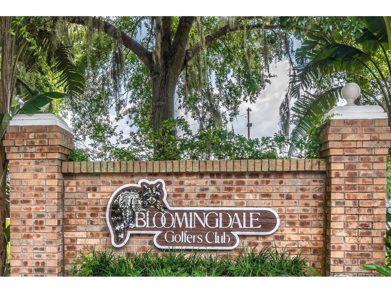3612 Pine Knot Drive Valrico FL 33596 TB8518508 image39