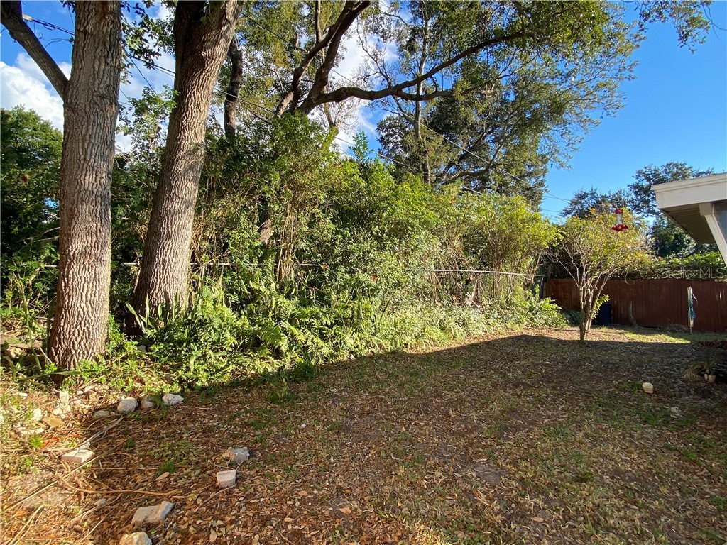 3612 Springfield Drive Holiday FL 34691 TB8509823 image13
