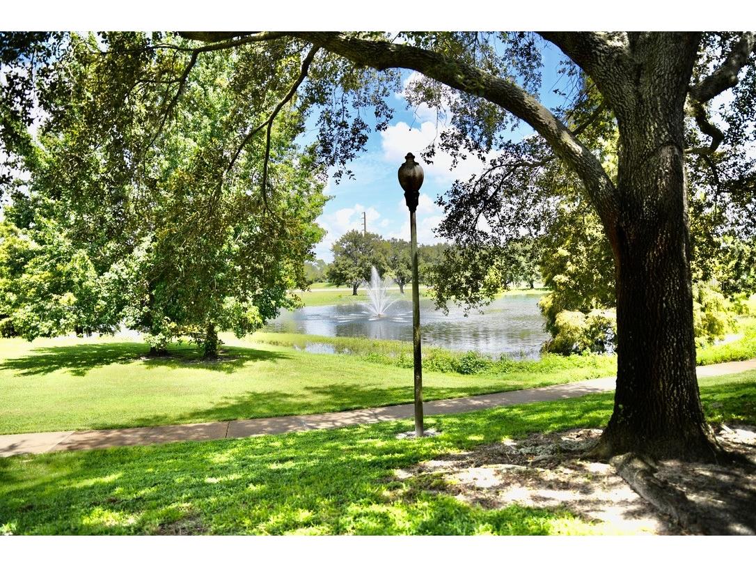 36121 Lake Chase Boulevard #204 Zephyrhills FL 33541 TB8302349 image2