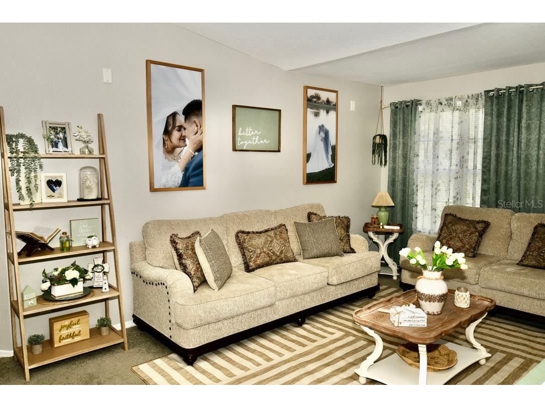 36121 Lake Chase Boulevard #204 Zephyrhills FL 33541 TB8302349 image8