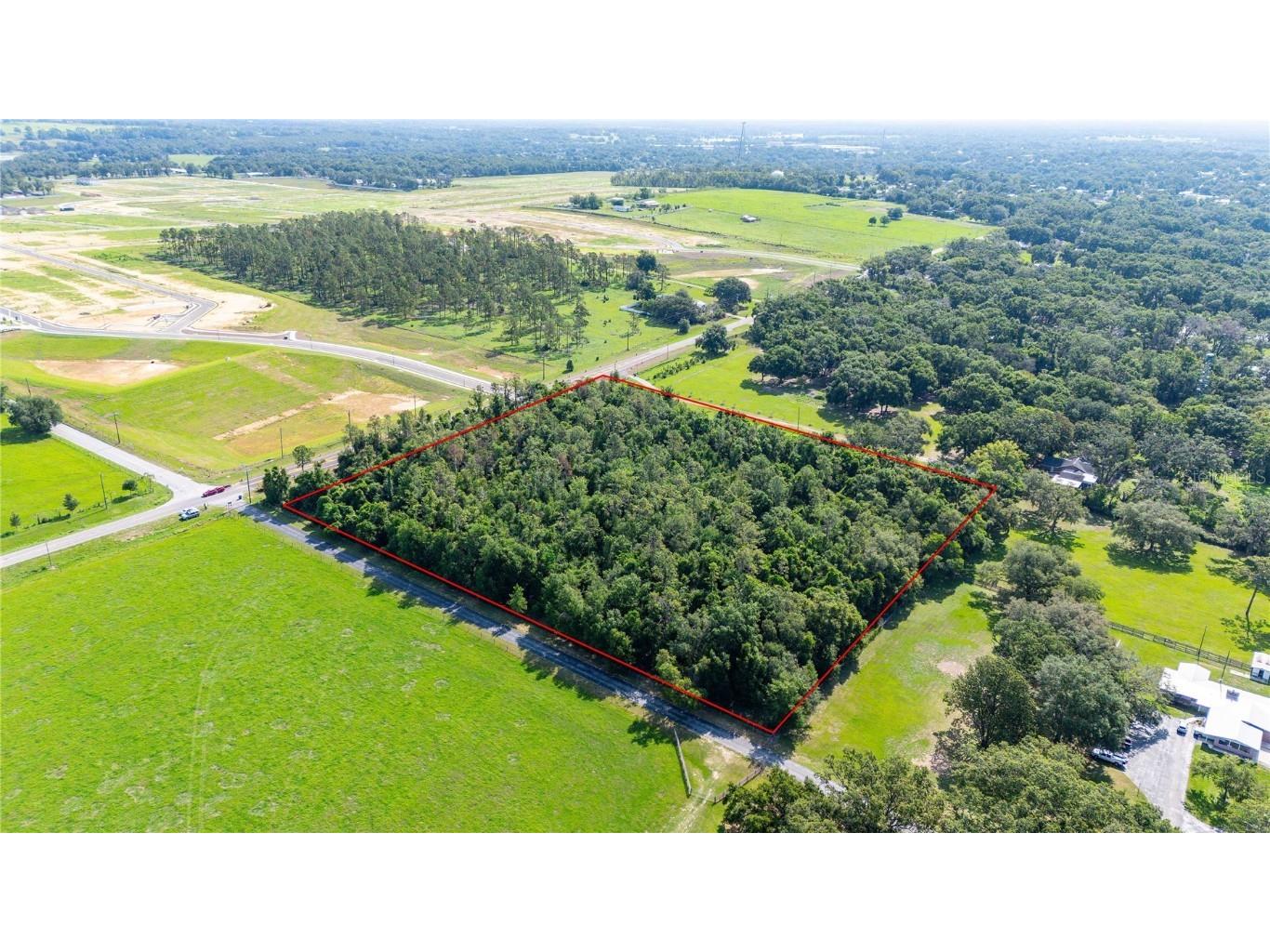 36126 Saint Joe Road Dade City FL 33525 - SUWANNEE LAKE TB8395979 image11