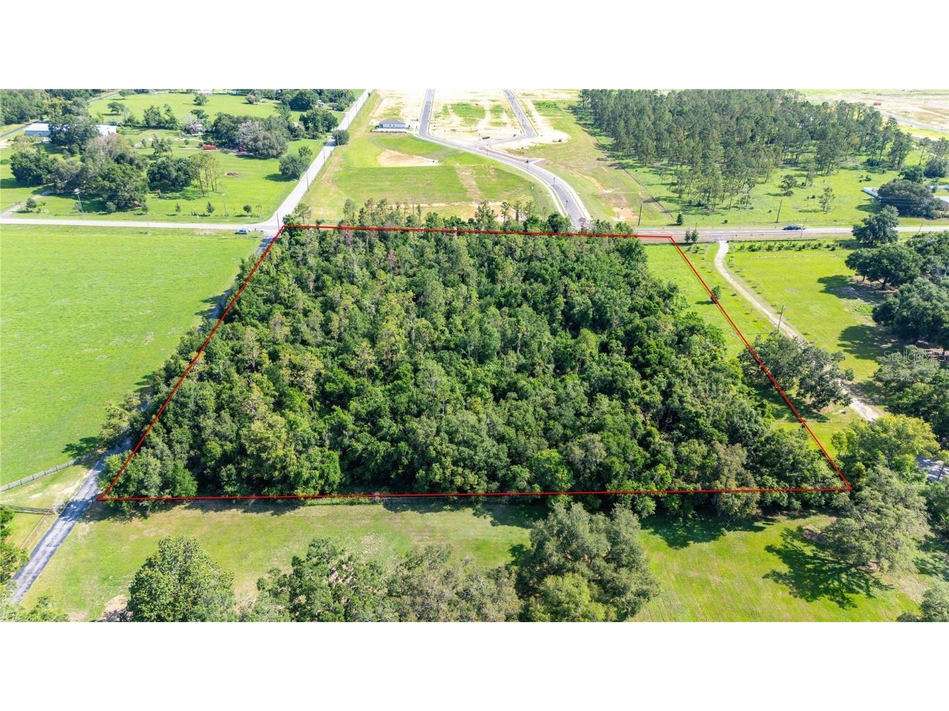 36126 Saint Joe Road Dade City FL 33525 - SUWANNEE LAKE TB8395979 image3