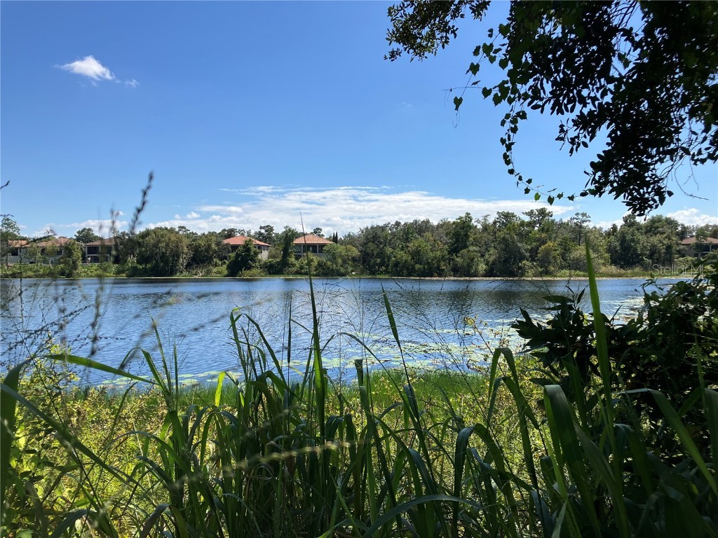 3613 Azurite Court Deland FL 32724 - Horseshoe Lake V4938648 image3