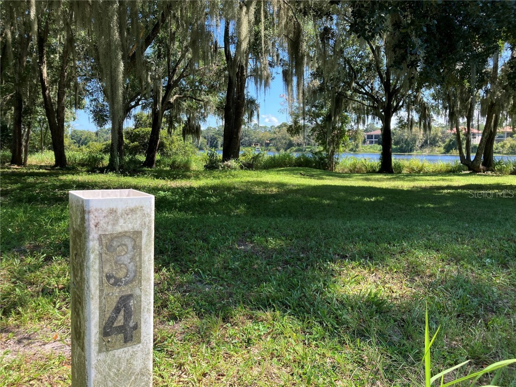 3613 Azurite Court Deland FL 32724 - Horseshoe Lake V4938648 image4