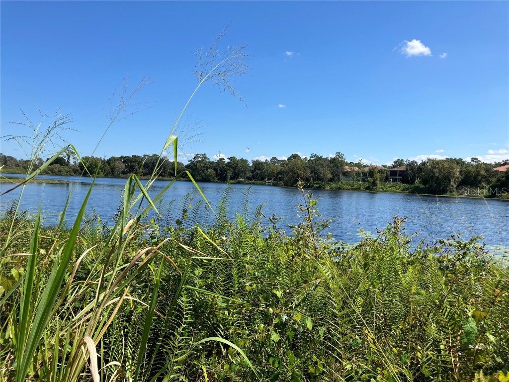 3613 Azurite Court Deland FL 32724 - Horseshoe Lake V4938648 image5