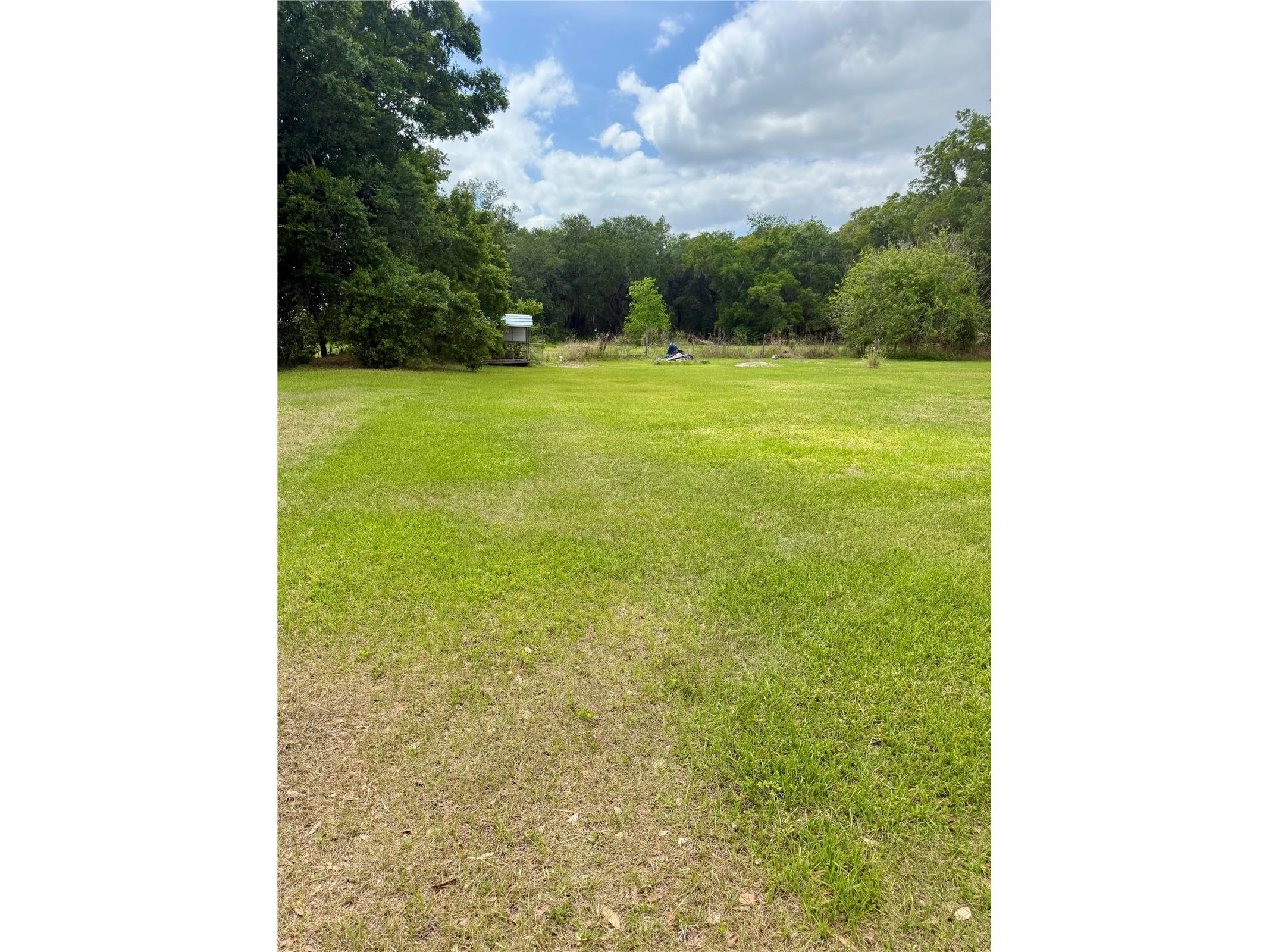 3613 Mindedahl Road Plant City FL 33567 G5111554 image27