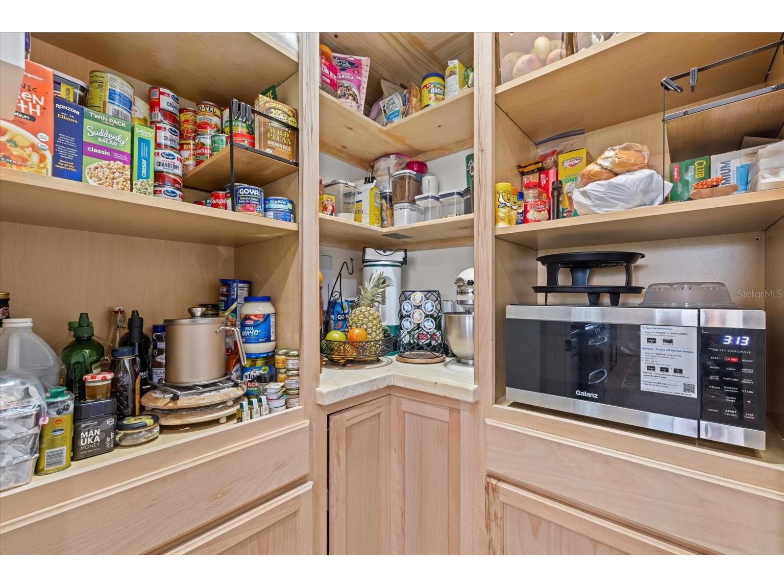3613 Mossy Limb Court Palmetto FL 34221 A4695560 image19