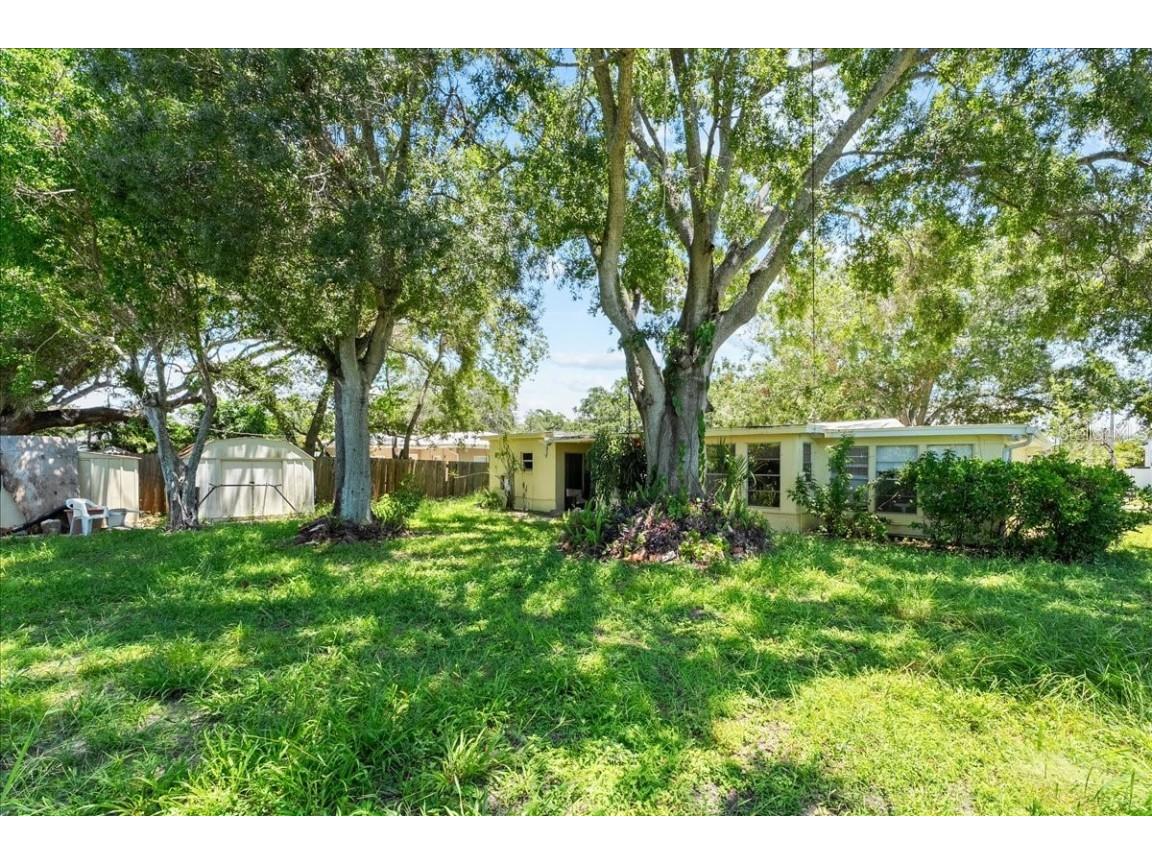 3613 S Gardenia Avenue Tampa FL 33629 TB8409913 image9