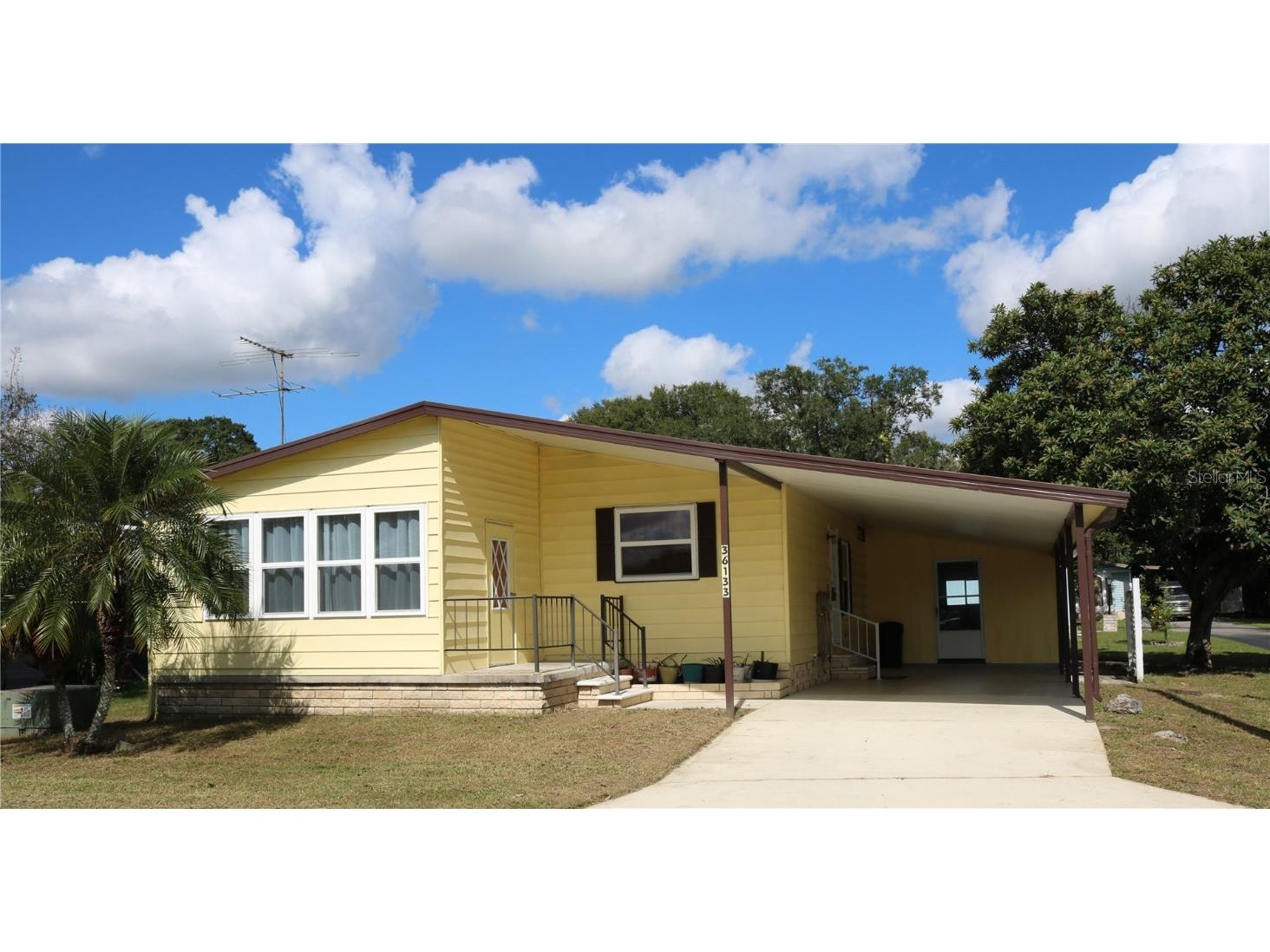 36133 Coleus Avenue Zephyrhills FL 33541 T3338072 image1