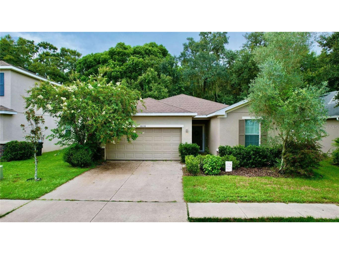 36136 Laguna Hills Circle Zephyrhills FL 33541 T3467460 image1